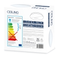 PLATINET CEILING LAMP 24W 4000K 100LM/W WHITE  45257